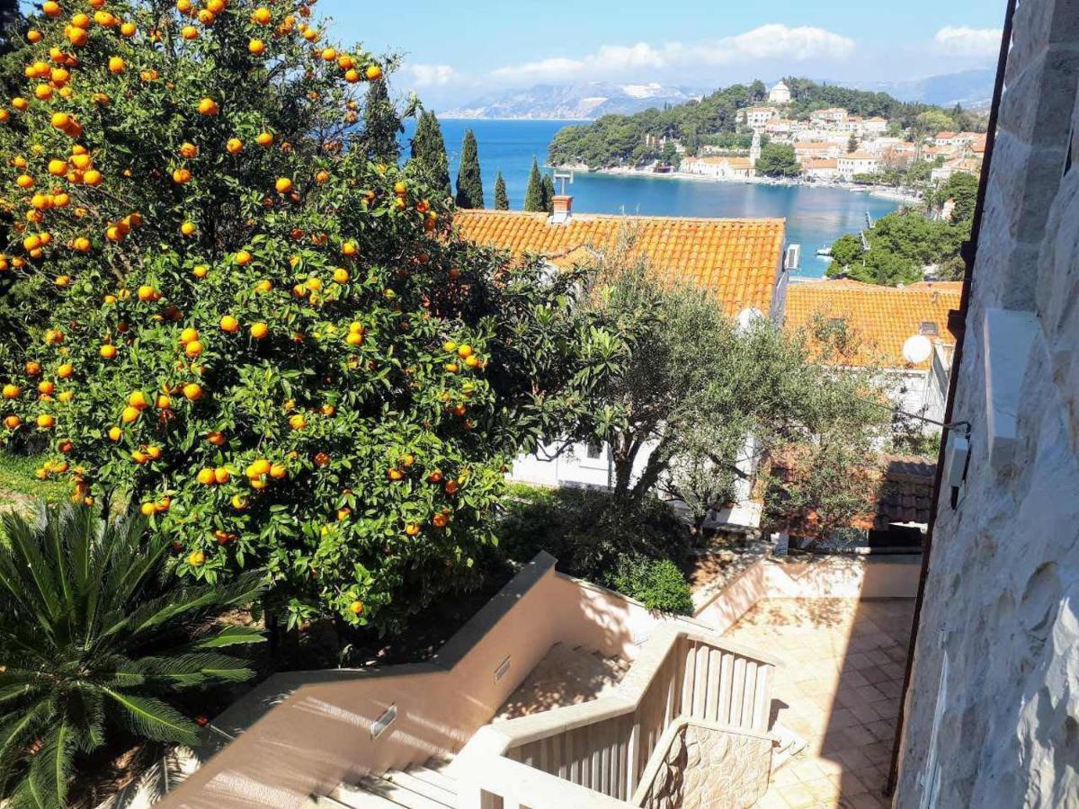 City Apartments Bobic Cavtat Luaran gambar